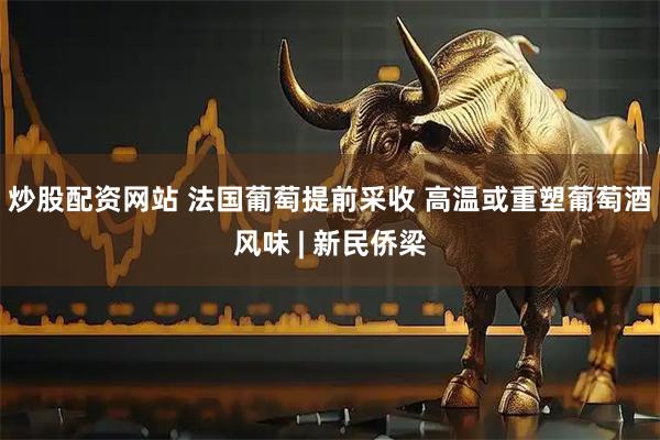 炒股配资网站 法国葡萄提前采收 高温或重塑葡萄酒风味 | 新民侨梁